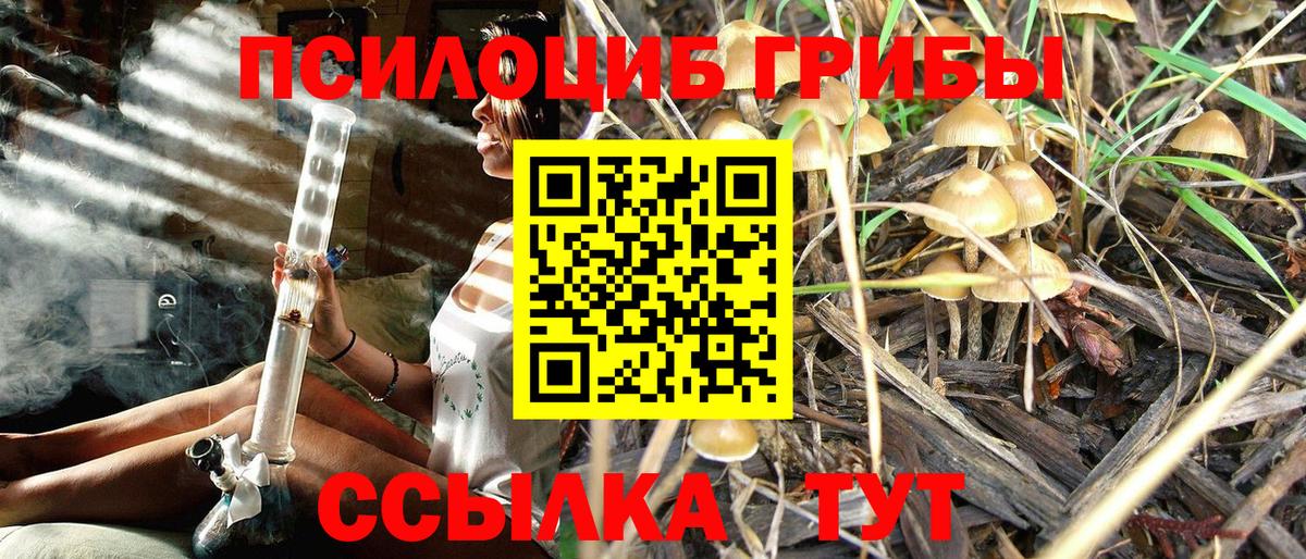 Галлюциногенные грибы Psilocybine cubensis  Вход с VPN  где можно купить   Галлюциногенные грибы Psilocybe  Россия 